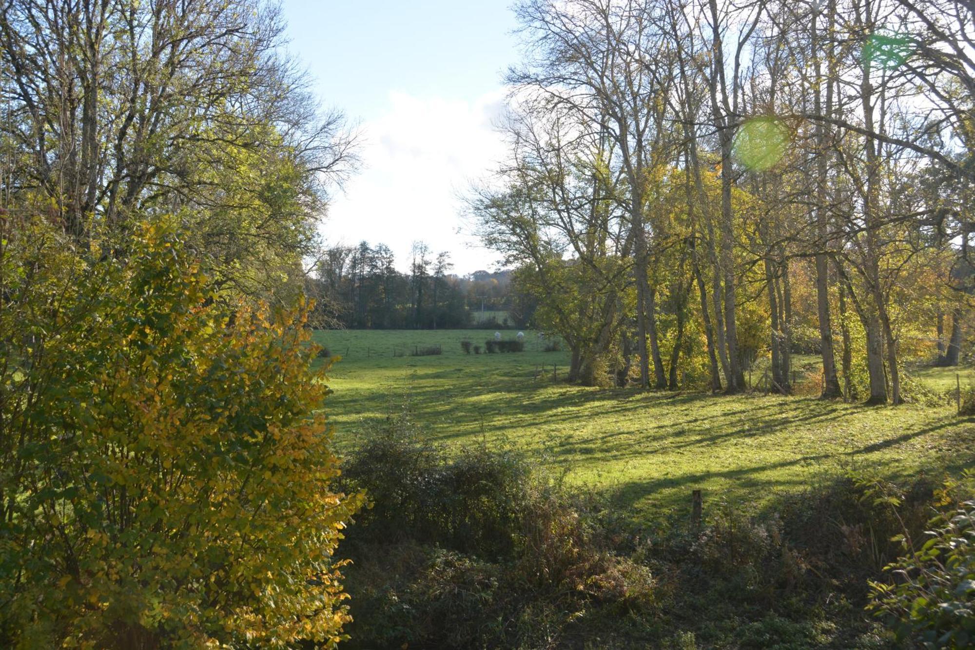 Bed and Breakfast Le Moulin Grenon Mézilles Esterno foto